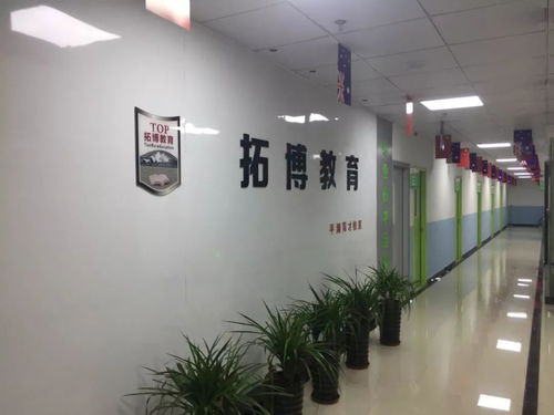 平湖市校外培訓(xùn)機(jī)構(gòu)白名單公布 聚焦藝術(shù)類營(yíng)利性民辦機(jī)構(gòu)，為家長(zhǎng)選擇保駕護(hù)航