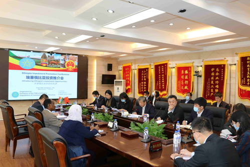2021埃塞俄比亞經(jīng)貿(mào)推介會(huì)在長(zhǎng)春舉行 經(jīng)濟(jì)貿(mào)易咨詢成果顯著